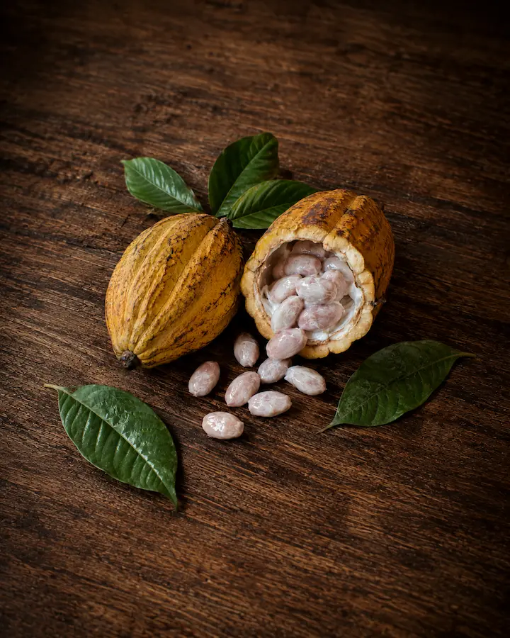 Cacao de alta calidad